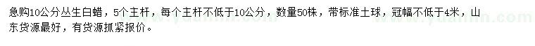 求購10公分叢生白蠟