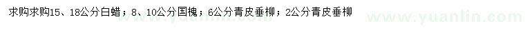 求購白蠟、國槐、青皮垂柳