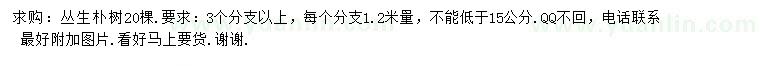 求購(gòu)叢生樸樹