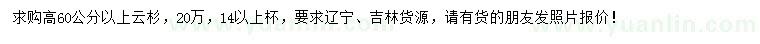 求購(gòu)高60公分以上云杉