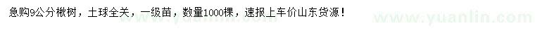 求購(gòu)9公分楸樹(shù)