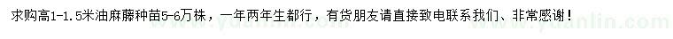 求購(gòu)高1-1.5米油麻藤