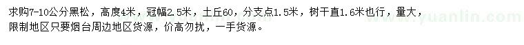 求購7-10公分黑松