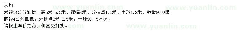 求購米徑14公分油松、胸徑4公分國槐