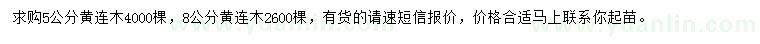 求購5、8公分黃連木