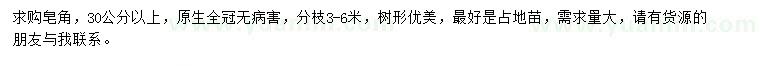 求購30公分以上皂角