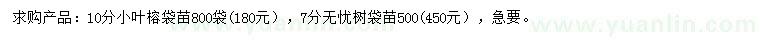 求購10公分小葉榕、7公分無憂樹