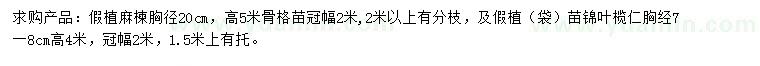 求購胸徑20公分麻楝、胸徑7-8公分錦葉欖仁