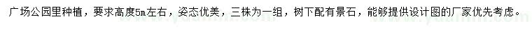 求購高5米左右油松