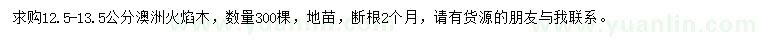 求購12.5-13.5公分澳洲火焰木