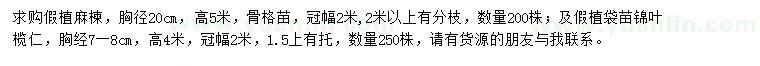 求購胸徑20公分麻楝、胸徑7-8公分錦葉欖仁