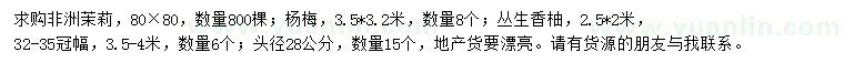 求購(gòu)非洲茉莉、楊梅、叢生香柚