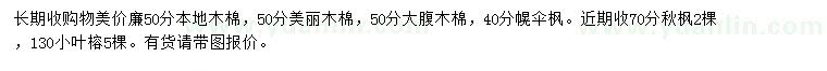 求購本地木棉、美麗木棉、大腹木棉等