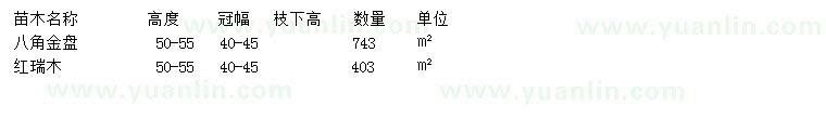 求購高50-55公分八角金盤、紅瑞木