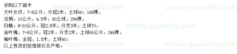 求購(gòu)大葉女貞、法桐、白蠟等