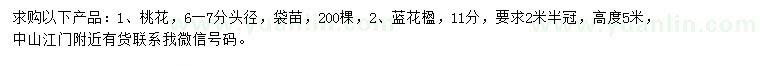 求購頭徑6-7公分桃花、11公分藍(lán)花楹