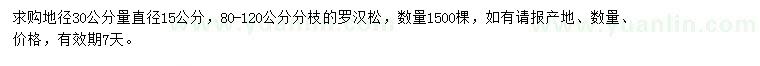 求購地徑30公分量直徑15公分羅漢松