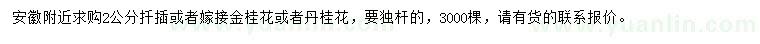 求購2公分金桂、丹桂扦插或嫁接苗