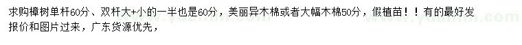 求購樟樹、美麗異木棉、大腹木棉