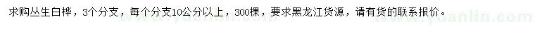 求購叢生白樺