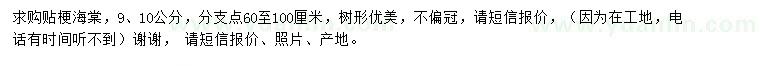 求購9、10公分貼梗海棠