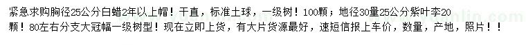 求購白蠟、紫葉李
