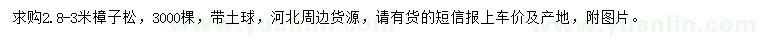 求購2.8-3米樟子松
