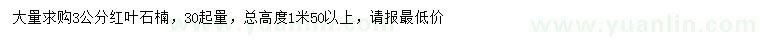 求購3公分紅葉石楠
