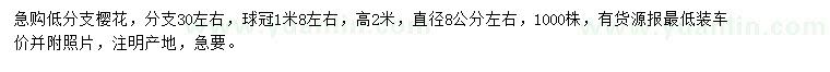求購直徑8公分左右櫻花