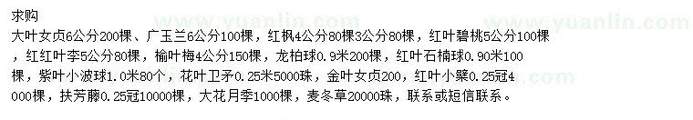 求購(gòu)大葉女貞、廣玉蘭、紅楓等