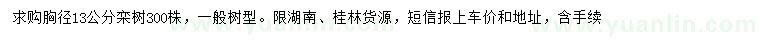 求購(gòu)胸徑13公公分欒樹(shù)