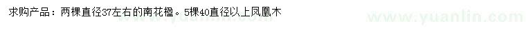 求購直徑37公分左右藍(lán)花楹、直徑40公分以上鳳凰木