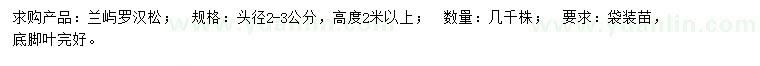 求購頭徑2-3公分羅漢松