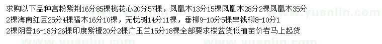求購宮粉紫荊、桃花心、鳳凰木等