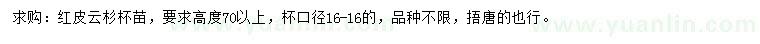 求購高70公分以上紅皮云杉