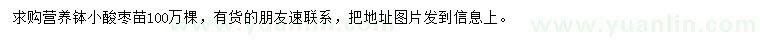 求購小酸棗苗