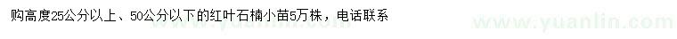 求購高度25公分以上紅葉石楠小苗