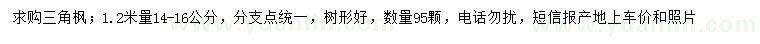 求購1.2米量14-16公分三角楓