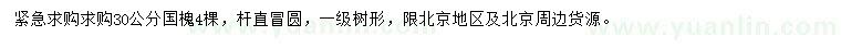 求購30公分國槐