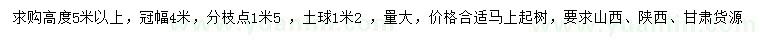 求購高度5米以上油松