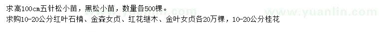 求購五針松、黑松、紅葉石楠等