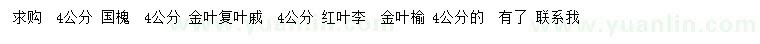 求購(gòu)國(guó)槐、金葉復(fù)葉戚、紅葉李
