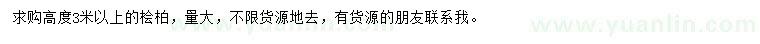 求購高度3米以上檜柏