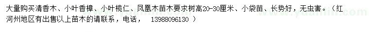 求購清香木、小葉香樟、小葉欖仁等