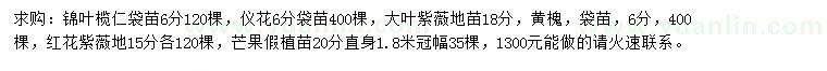 求購(gòu)錦葉欖仁、儀花、大葉紫薇等