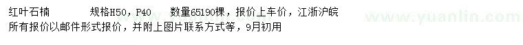 求購高50公分紅葉石楠