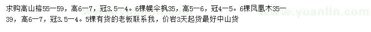 求購高山榕、幌傘楓、鳳凰木