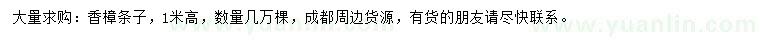 求購(gòu)1米高香樟條子
