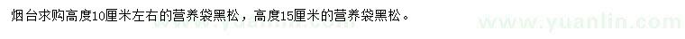 求購高度10、15公分左右黑松