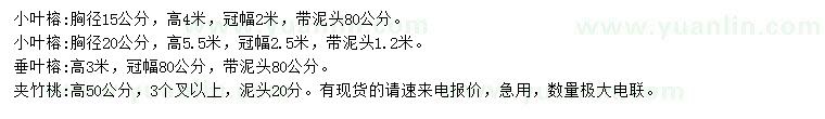 求購小葉榕、垂葉榕、夾竹桃
